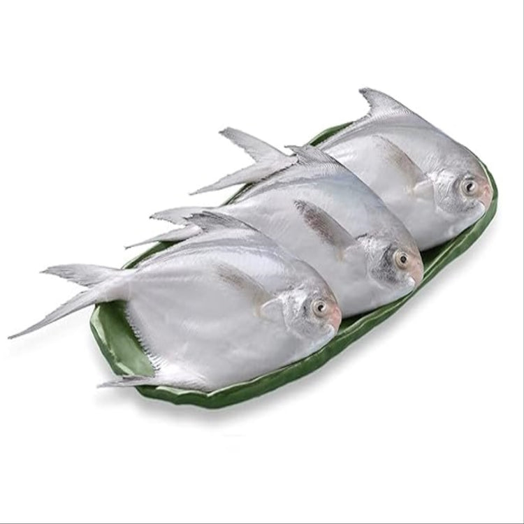 SLIVER  POMFRET WHOLE 3 UP