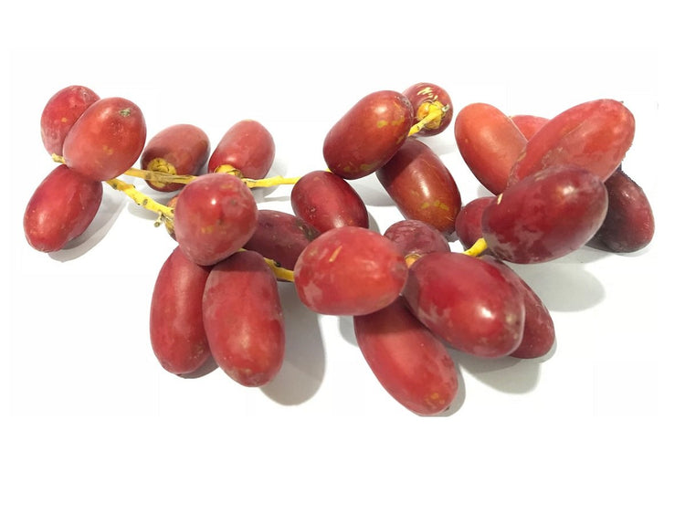 FRESH DATES - World Food Warehouse