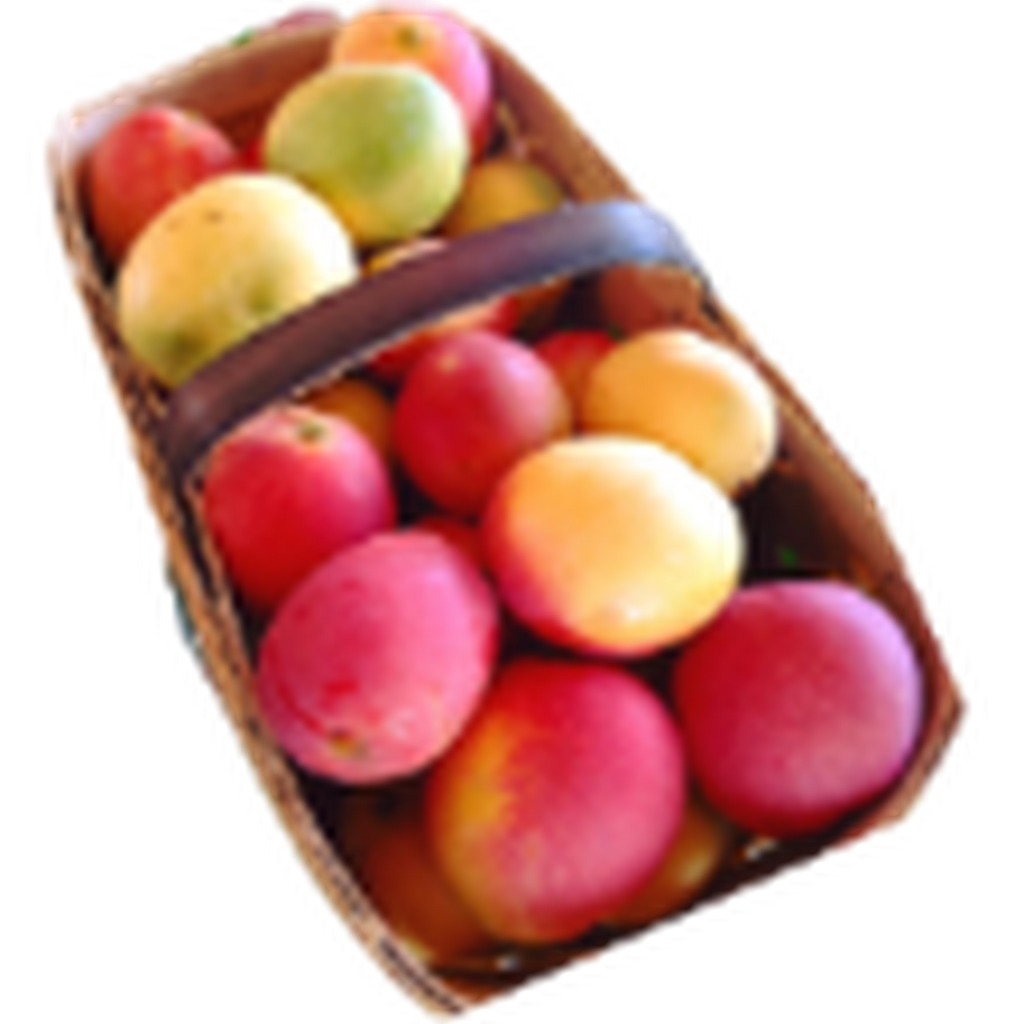 MANGO RIPE Marathon 9 CT - in a Box