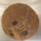 Fresh Coconut (Brown)