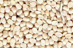 Urad Dal Washed - Ruchi - 2lb